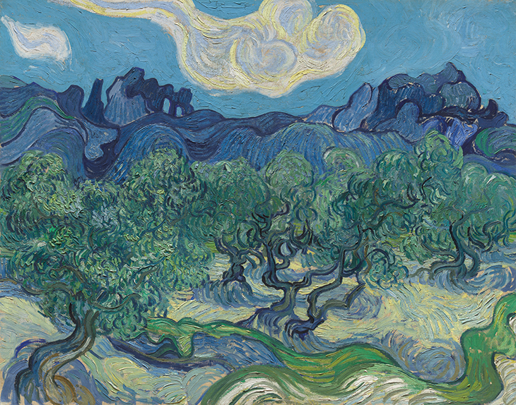 The Olive Trees (1889), Vincent van Gogh. 