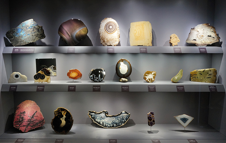 Geological specimens from the collection of Roger Caillois (1913–78). Muséum national d’Histoire naturelle, Paris. Photo: Hugh Raffles