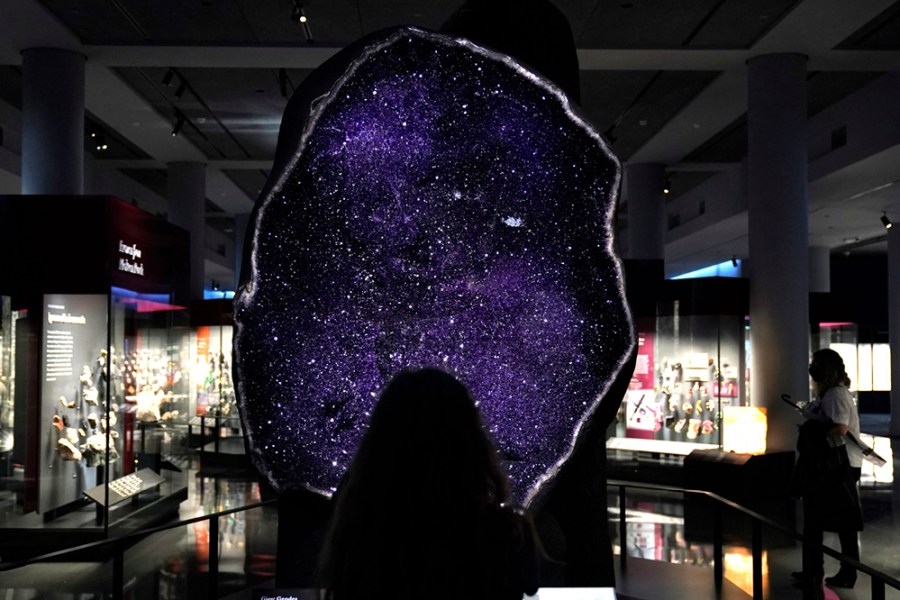 A giant amethyst geode from Uruguay, installed in the Mignone Halls of Gems and Minerals at the American Museum of Natural History, New York. Photo: Timothy A. Clary/AFP via Getty Images