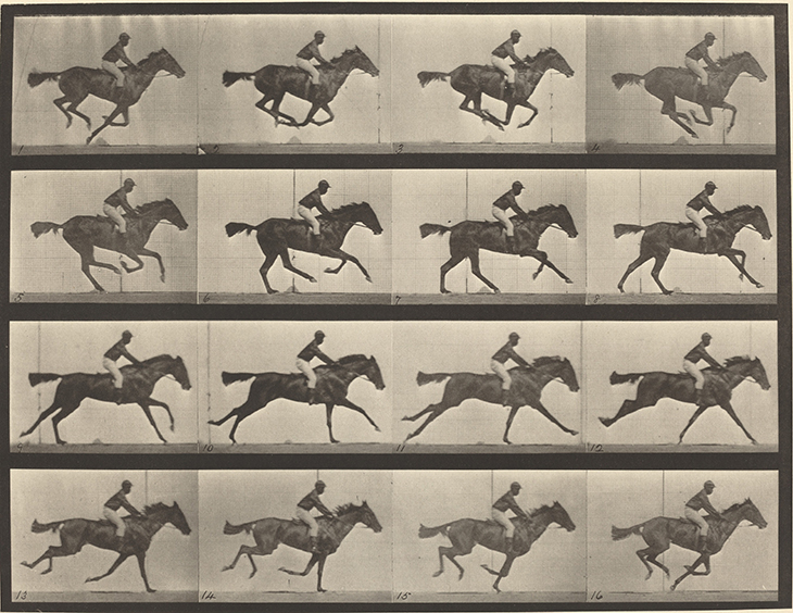 Animal Locomotion, Plate 626 (1887), Edward Muybridge. National Gallery of Art, Washington, D.C.