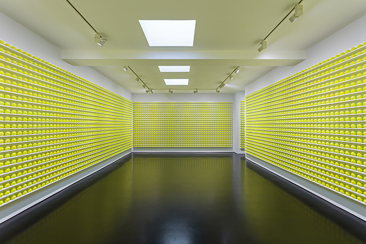 Installation view of ‘David Shrigley: Mayfair Tennis Ball Exchange’ at Stephen Friedman Gallery, London. 