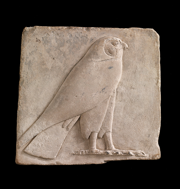 Plaque depicting a falcon, probably the god Horus (664–525 BC), Egypt. 