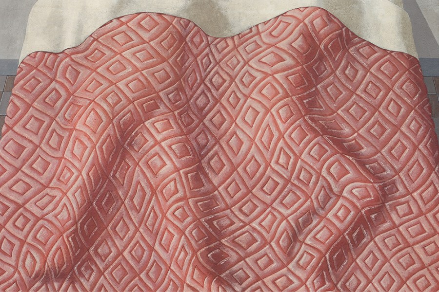 Due Dormienti (1966), Domenico Gnoli. Private collection.