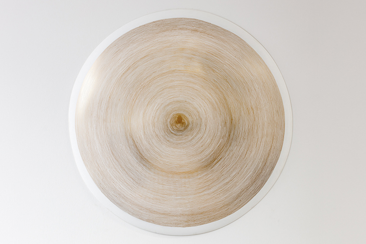 Propagazione (2013), Giuseppe Penone.