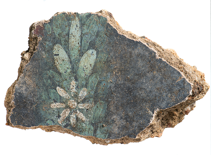 Decorated wall plaster found during the excavations. 