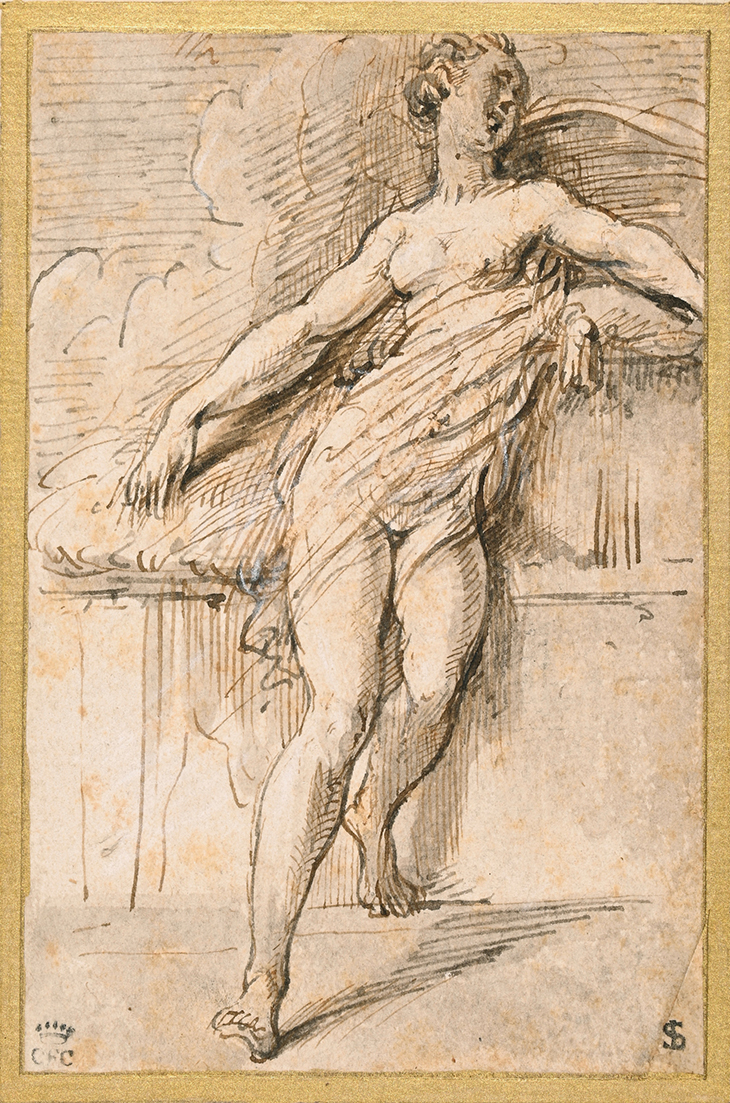 Reclining female figure, Parmigianino. Courtauld Gallery, London