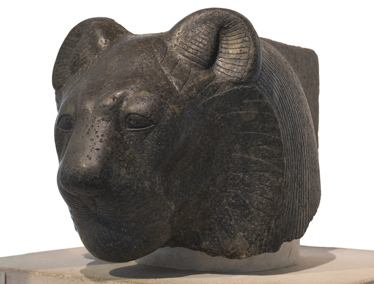 Head of Sekhmet (c. 1390–1352 BC), Egypt. Burrell Collection, Glasgow.