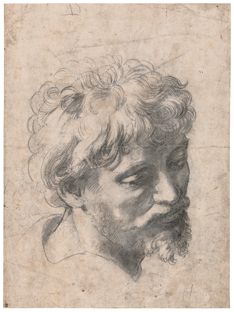Study for the Head of an Apostle in the Transfiguration Raphael