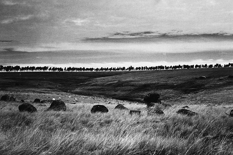 Arbres, brise, vent – Horombe, Ihosy (1973), Ramily. Hakanto Contemporary, Madagascar.