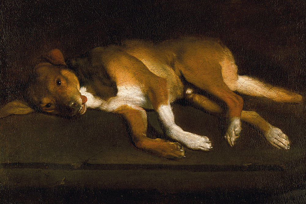 Dog days at the Ashmolean | Apollo Magazine - Vimarsana News