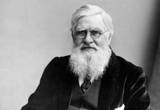 Alfred Wallace Russel