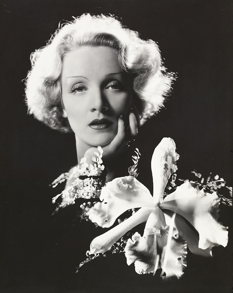 Marlene Dietrich photographed with an orchid