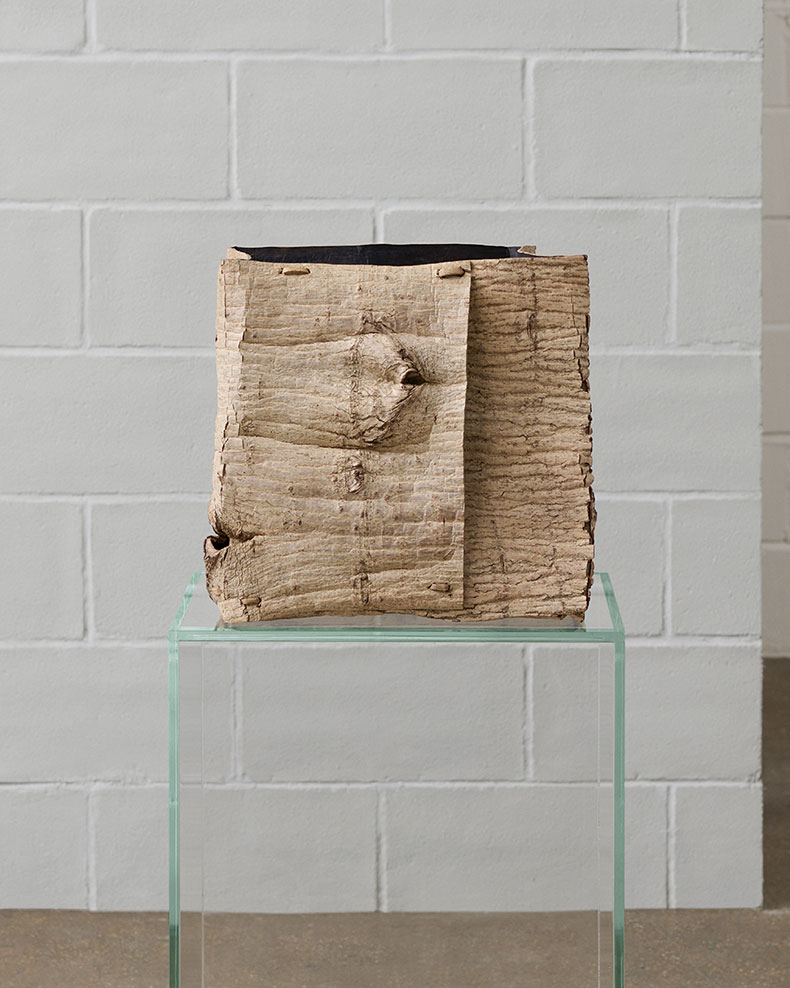 walnut bark sculpture on a glass plinth