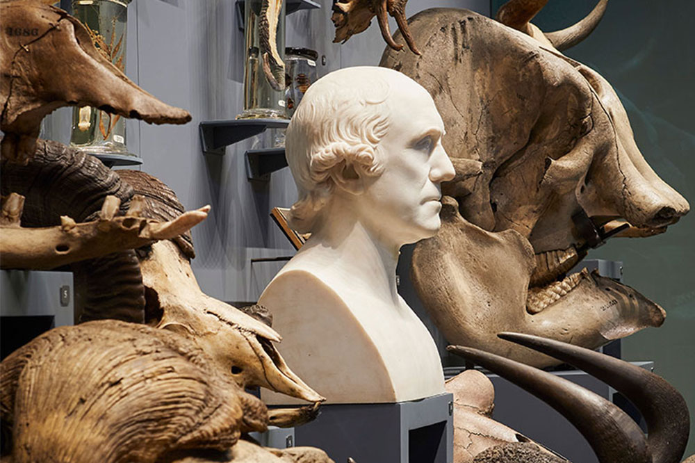 London's most gruesome museum is back | Apollo Magazine - Vimarsana News