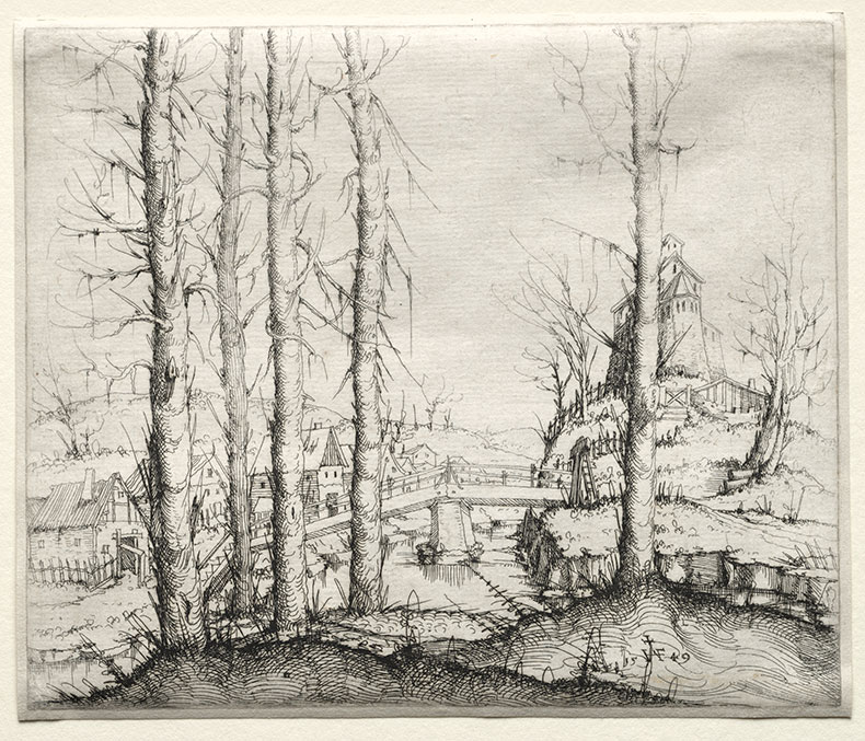 River Landsacpe with Five Bare Spruce Trees in the Foreground (1549), Augustin Hirscvogel. Cleveland Museum of Art 