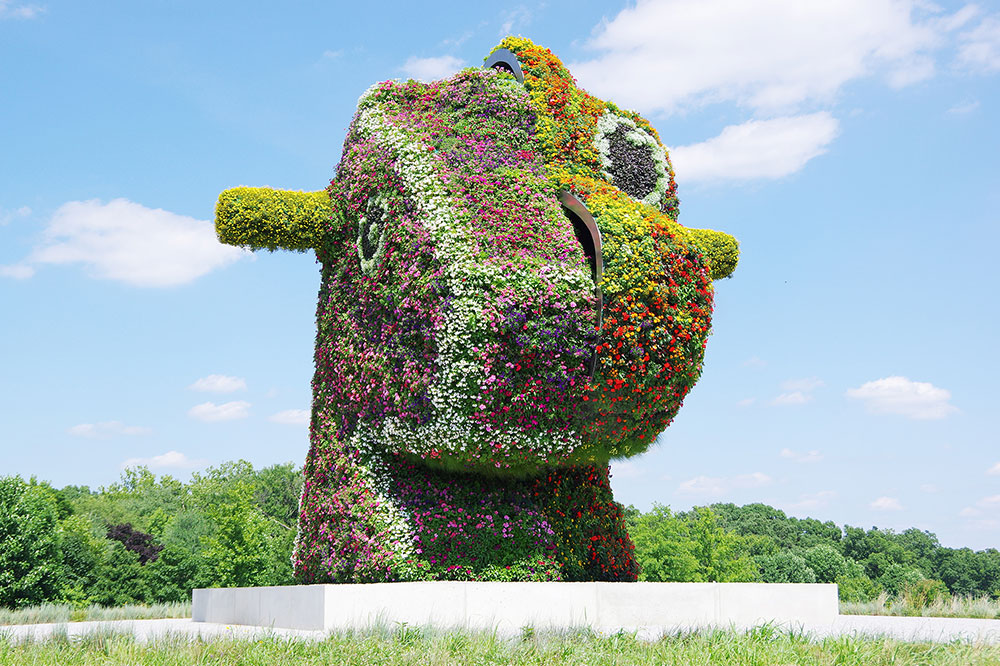 Seasonal highlights at Glenstone Museum - Vimarsana News