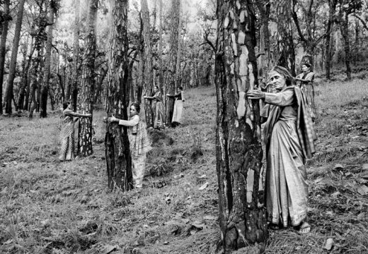 Chipko Tree Huggers of the Himalayas #4 (1994), Pamela Singh. Courtesy sepiaEYE; © Pamela Singh