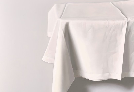 painting of tablecloth by Alison Watt